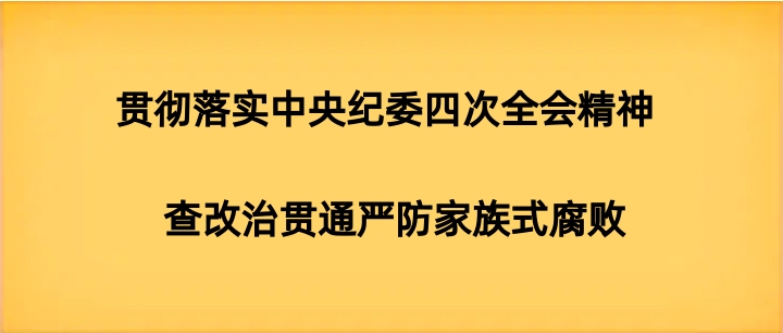 贯彻落实中央纪委四次全会精神  查改治贯通严防家族式腐败